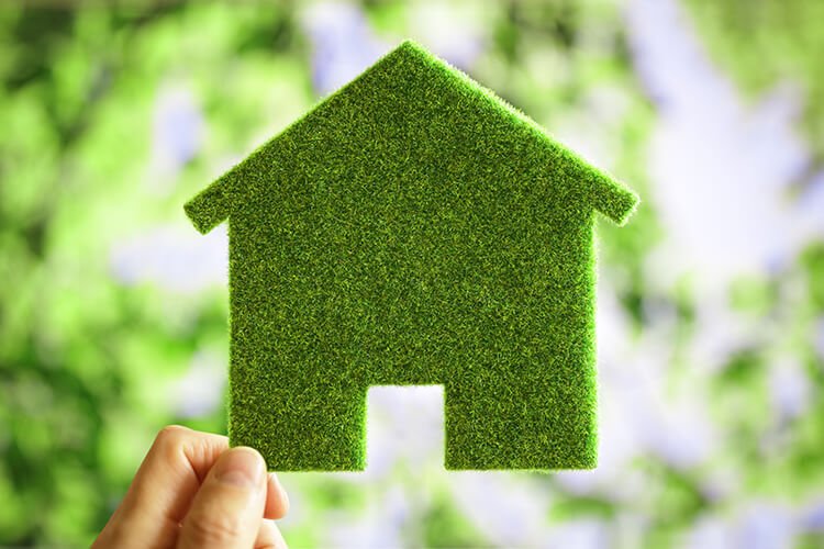 Net Zero
